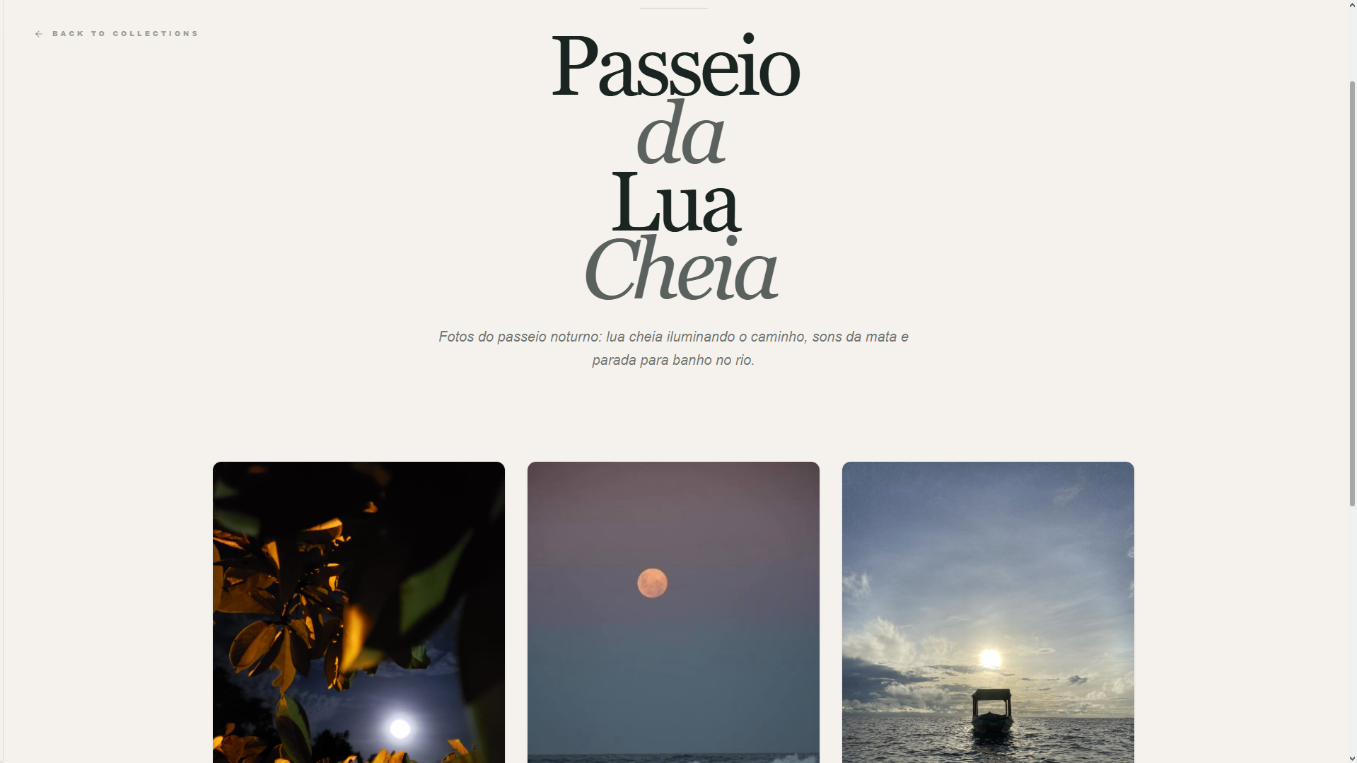 Renan Turismo Marajó gallery 2